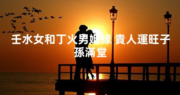 壬水女和丁火男姻緣 貴人運旺子孫滿堂